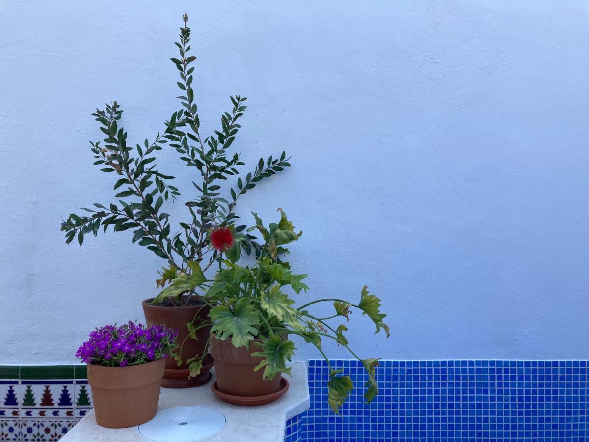 Casa Clemente 32, Private House With Plunge Pool Lägenhet Málaga Exteriör bild