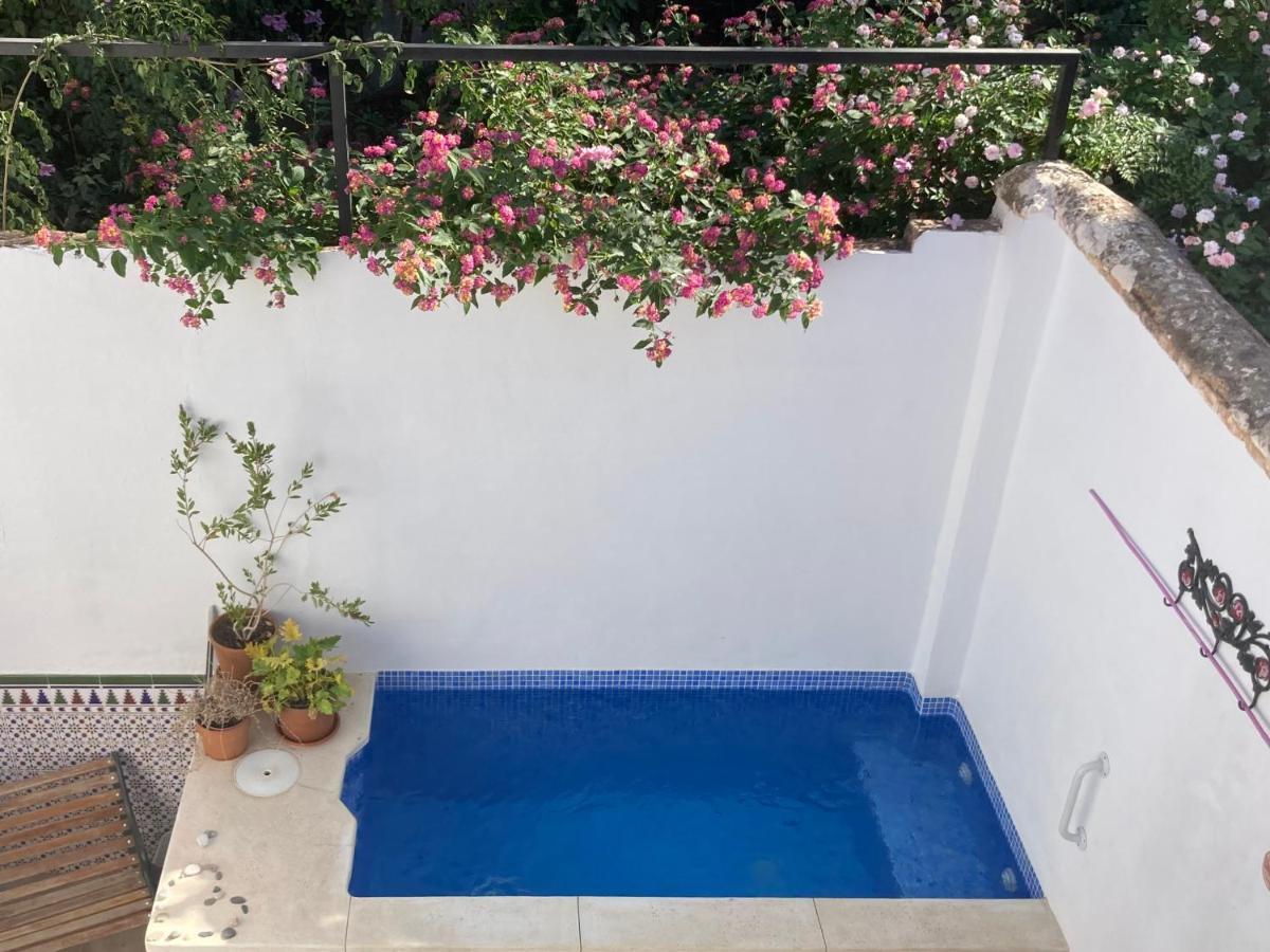 Casa Clemente 32, Private House With Plunge Pool Lägenhet Málaga Exteriör bild